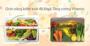 Tủ Lạnh Mitsubishi Inverter 506 Lít MR-WX52D-F-V - 21 Tủ Lạnh Mitsubishi Inverter 506 Lít MR-WX52D-F-V - 20