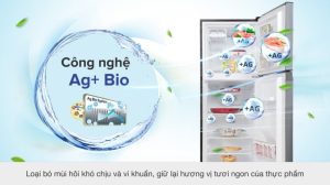 Tủ lạnh Toshiba Inverter 249 lít GR-RT325WE-PMV(06)-MG - 27