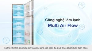 Tủ lạnh Toshiba Inverter 249 lít GR-RT325WE-PMV(06)-MG - 23