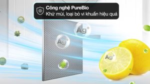 Tủ lạnh Toshiba Inverter 253 lít GR-RT329WE-PMV(52) - 16