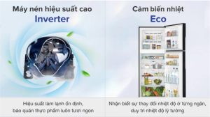 Tủ lạnh Hitachi Inverter 349 lít R-FVY480PGV0-GMG - 29