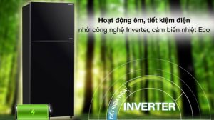 Tủ Lạnh Hitachi Inverter 390 Lít R-FVY510PGV0-GMG - 23