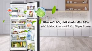 Tủ Lạnh Hitachi Inverter 390 Lít R-FVY510PGV0-GMG - 19