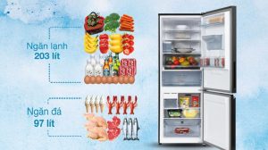 Tủ lạnh Panasonic Inverter 300 lít NR-BV331WGKV - 15