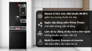 Tủ lạnh Panasonic Inverter 300 lít NR-BV331WGKV - 11