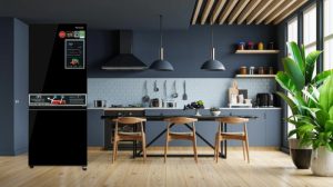 Tủ lạnh Panasonic Inverter 255 lít NR-BV281BGMV - 16