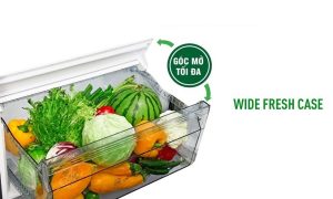 Tủ lạnh Panasonic Inverter 306 lít NR-TV341VGMV - 21