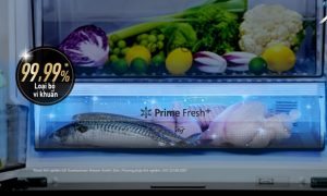 Tủ lạnh Panasonic Inverter 306 lít NR-TV341VGMV - 23