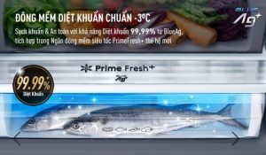 Tủ lạnh Panasonic Inverter 255 lít NR-BV281BGMV - 24