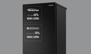 Tủ lạnh Panasonic Inverter 255 lít NR-BV281BGMV - 18