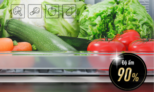 Tủ lạnh Panasonic Inverter 255 lít NR-BV281BGMV - 22