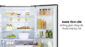 Tủ Lạnh Panasonic Inverter 491 Lít NR-F503GT-X2 - 37