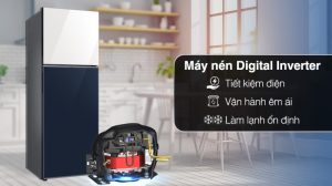 Tủ Lạnh Samsung Inverter 305 Lít RT31CB56248ASV - 23 Tủ Lạnh Samsung Inverter 305 Lít RT31CB56248ASV - 22
