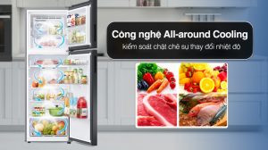 Tủ Lạnh Samsung Inverter 305 Lít RT31CB56248ASV - 19 Tủ Lạnh Samsung Inverter 305 Lít RT31CB56248ASV - 18