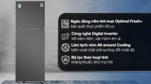 Tủ lạnh Samsung Inverter 305 lít RT31CG5424B1SV - 14
