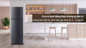 Tủ lạnh Sharp Inverter 253 lít SJ-X282AE-DS - 22 Tủ lạnh Sharp Inverter 253 lít SJ-X282AE-DS - 21