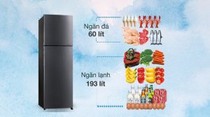 Tủ lạnh Sharp Inverter 253 lít SJ-X282AE-DS - 20 Tủ lạnh Sharp Inverter 253 lít SJ-X282AE-DS - 19