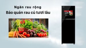 Tủ lạnh Toshiba Inverter 233 lít GR-A28VM(UKG1) - 17 Tủ lạnh Toshiba Inverter 233 lít GR-A28VM(UKG1) - 16