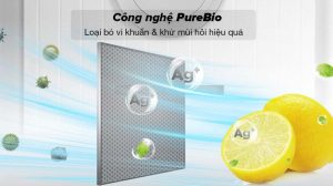 Tủ lạnh Toshiba Inverter 336 lít GR-RT435WEA-PMV(06)-MG - 27