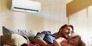 Máy lạnh LG Inverter 1.5 HP V13WIN - 13