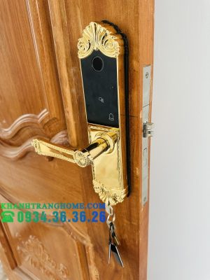 KHÓA CỬA VÂN TAY DEMAX SL280 BRASS 24K - 23 KHÓA CỬA VÂN TAY DEMAX SL280 BRASS 24K - 22