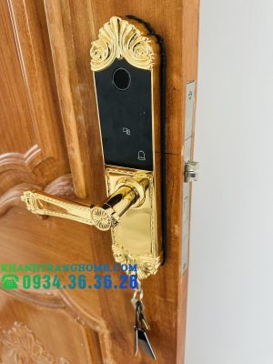 KHÓA CỬA VÂN TAY DEMAX SL280 BRASS 24K - 33 KHÓA CỬA VÂN TAY DEMAX SL280 BRASS 24K - 32