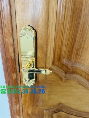 KHÓA CỬA VÂN TAY DEMAX SL280 BRASS 24K - 35 KHÓA CỬA VÂN TAY DEMAX SL280 BRASS 24K - 34