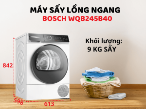 Máy sấy BOSCH WQB245B40 - 16